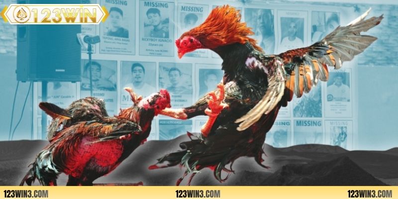 Học chiến thuật chơi đá gà chuẩn chỉnh