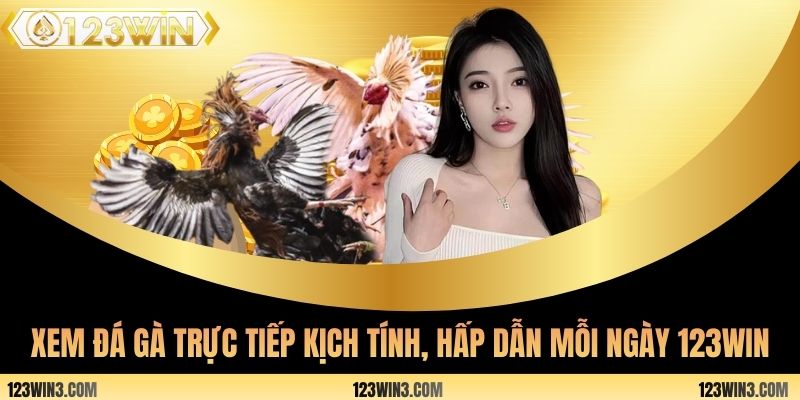Xem đá gà